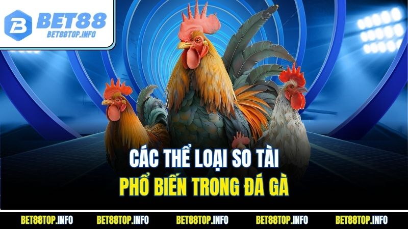 Các thể loại so tài phổ biến trong đá gà