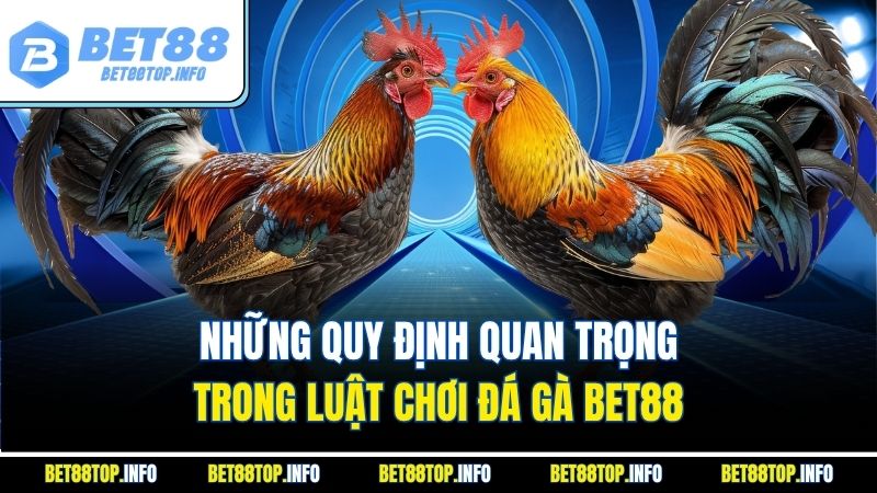 Những quy định quan trọng trong luật chơi đá gà bet88